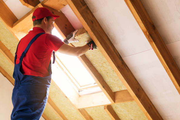 Best Blown-In Insulation  in Higginsville, MO